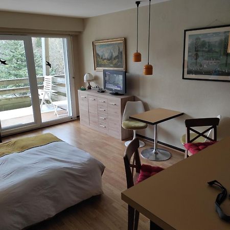 Residence Le Faucon - Col Du Donon Grandfontaine  Bagian luar foto