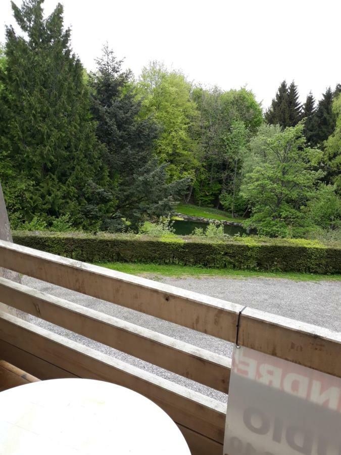 Residence Le Faucon - Col Du Donon Grandfontaine  Bagian luar foto